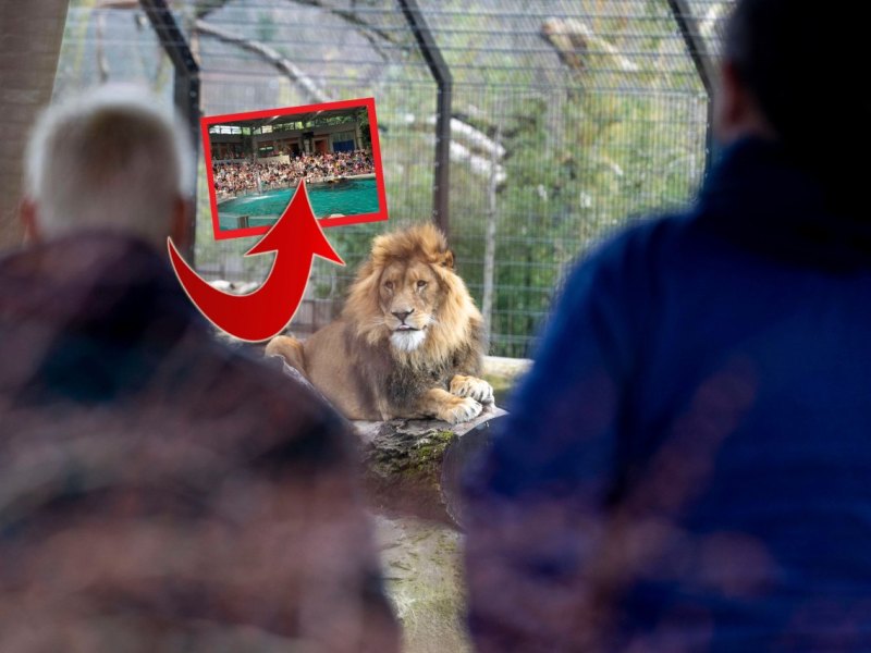 1duisburg-zoo-delfinarium