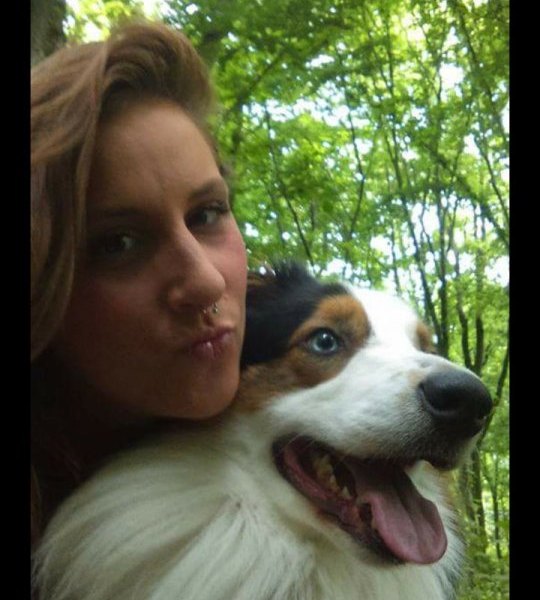 Cooper-Australian Shepherd-Duisburg-A49.jpg