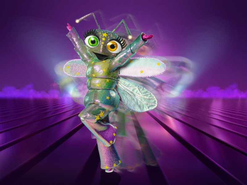 Das Glühwürmchen.jpg