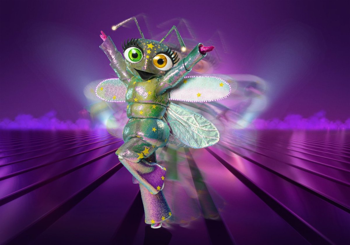 Das Glühwürmchen.jpg