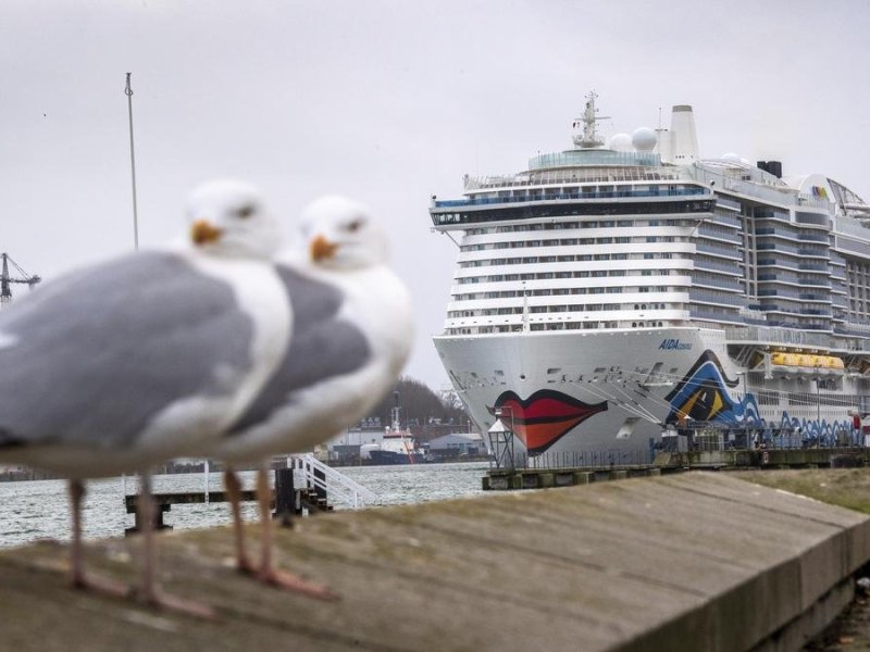 Das neue Kreuzfahrtschiff «Aidacosma» liegt im Kieler Hafen. (Zu dpa: «Kreuzfahrtbranche startet nach zwei Katastrophenjahren in die Saison») Foto: Sina Schuldt/dpa