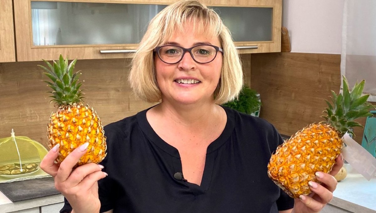 Das perfekte Dinner.JPG