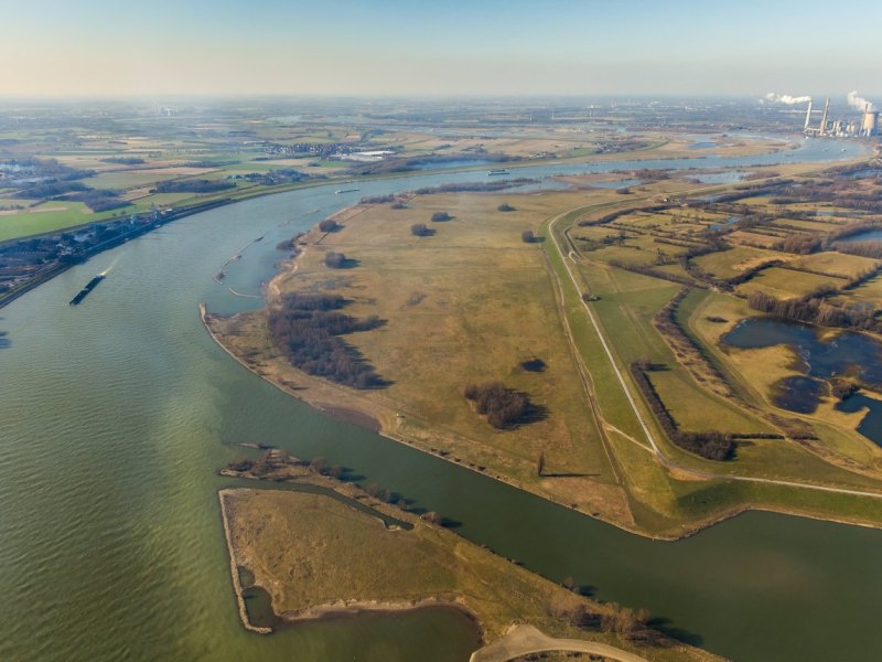 Duisburg Naturschützer Ruhrgebiet Naturschutz seltener Vogel Rheinaue Walsum Heiligen Ibis