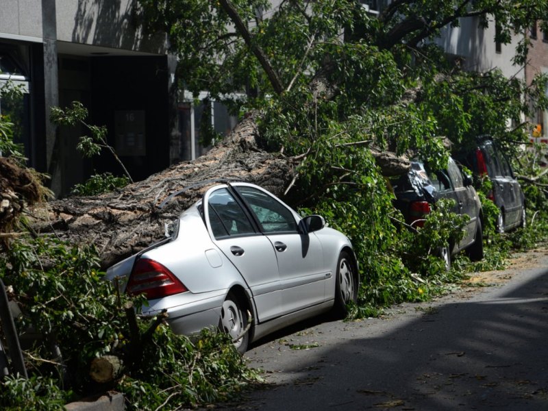 Ela Pfingststurm Sturmschäden.jpg