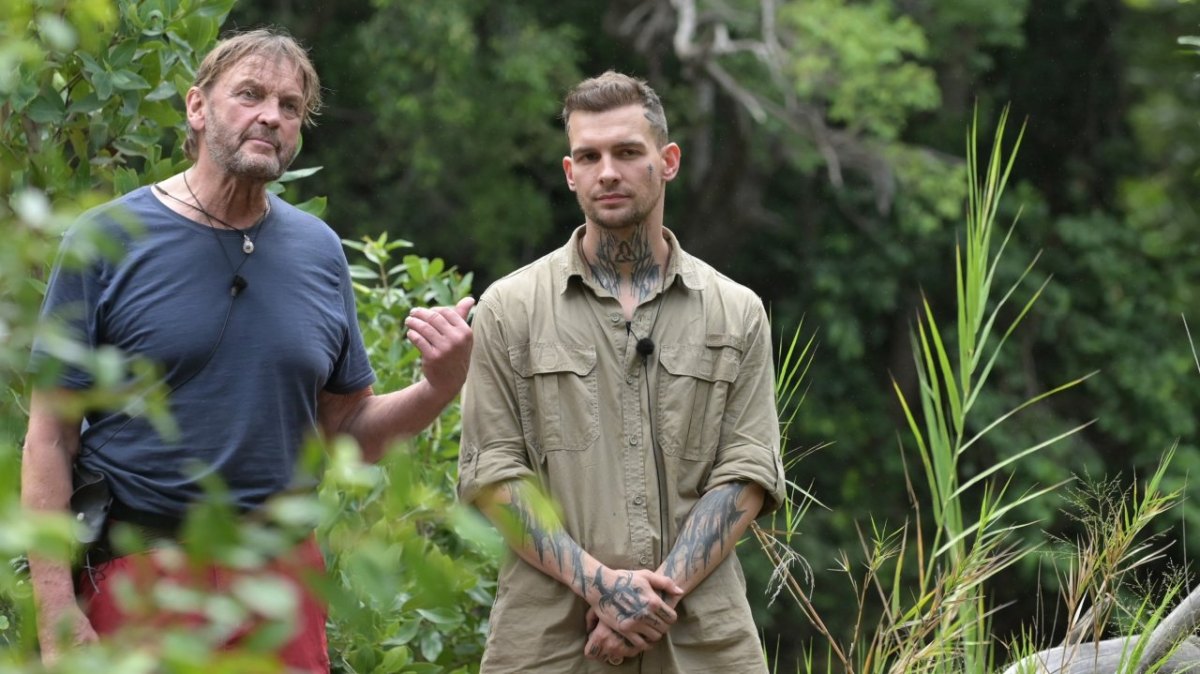 Eric Stehfest Dschungelcamp