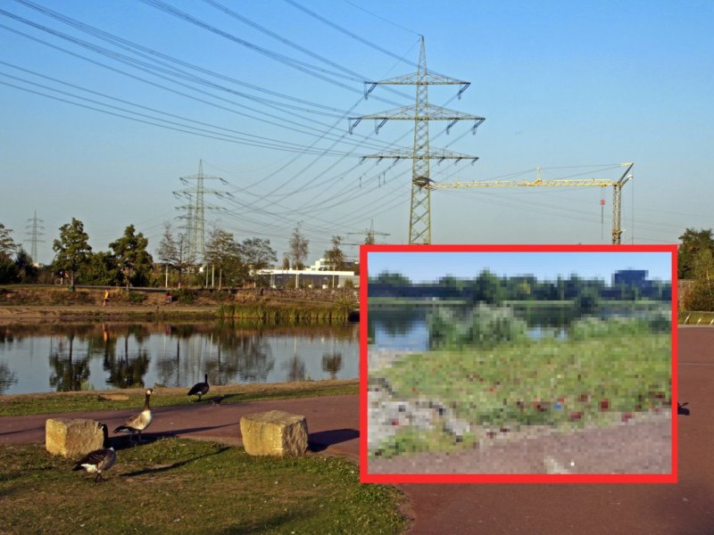 Essen Krupp Park.jpg