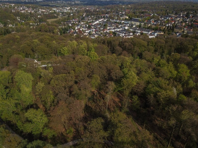 Essen Stadtwald.JPG
