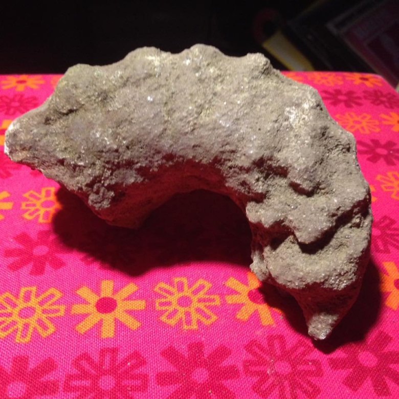 Fossil aus Wattenscheid