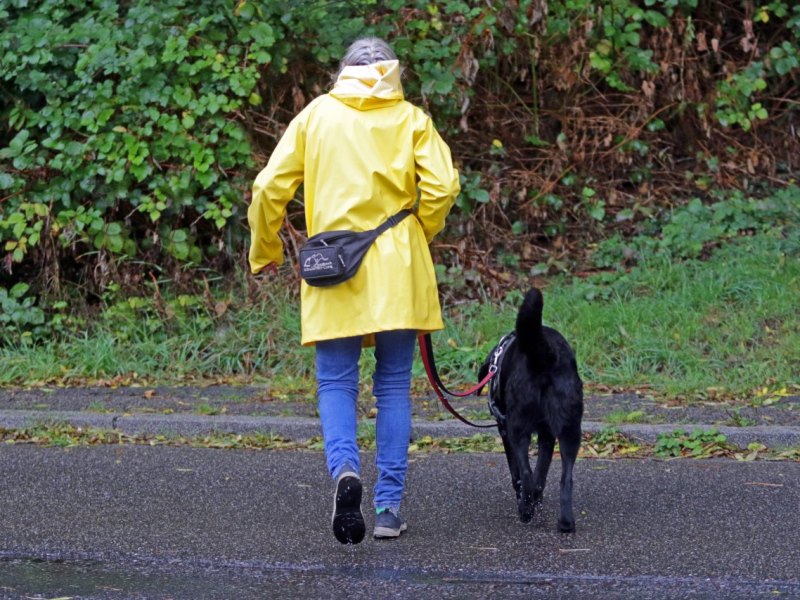 Frau mit Hund Gassi.jpg
