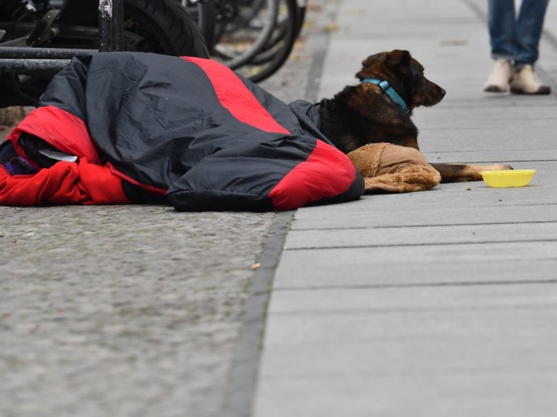 Hund_Essen_Obdachloser.jpg