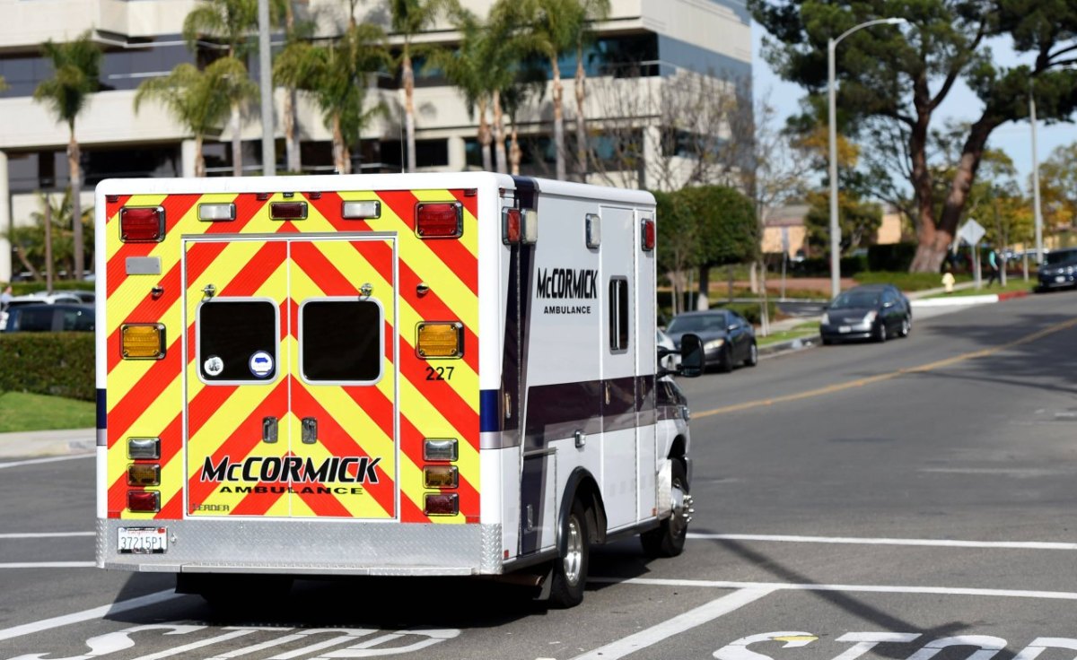 Hund: Junge stirbt auf der Suche nach seinem Hund.