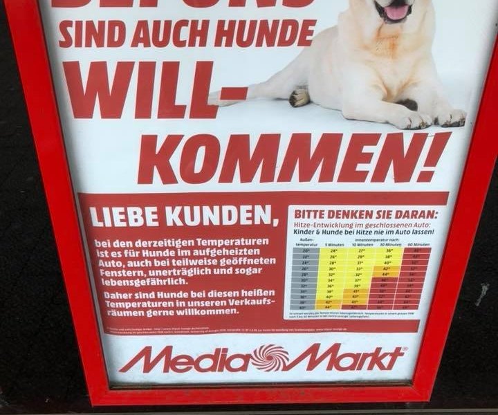 Hunde-Media-Markt-Mülheim