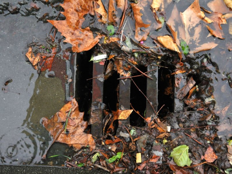 Laub FUNKE Fotoservices Ulrich von Born .jpg