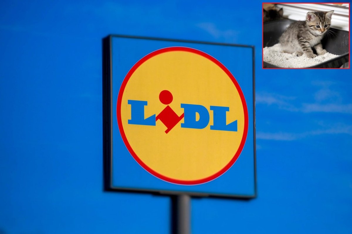 Lidl.jpg