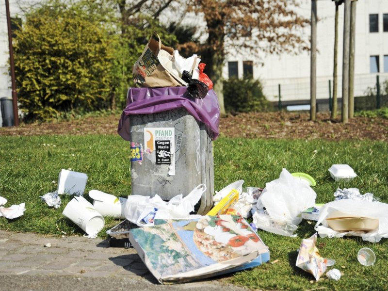 Müll im Stadtgarten.jpg
