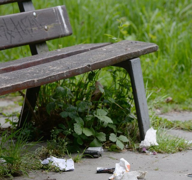 Park Essen Muell.jpg