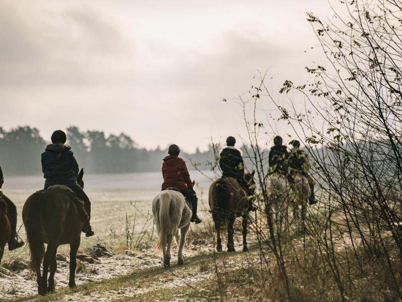 Schritt, Trab und Galopp: Auf den sandigen Untergründen im Havelland wechseln die Reiterinnen immer wieder das Tempo.