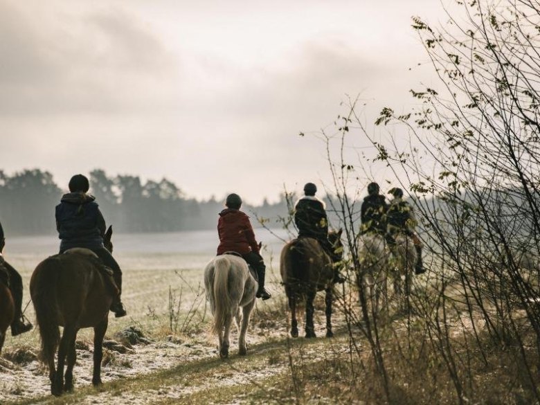 Schritt, Trab und Galopp: Auf den sandigen Untergründen im Havelland wechseln die Reiterinnen immer wieder das Tempo.