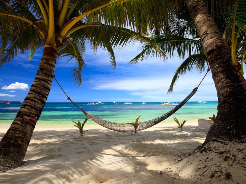 Strand urlaub palmen meer.jpg