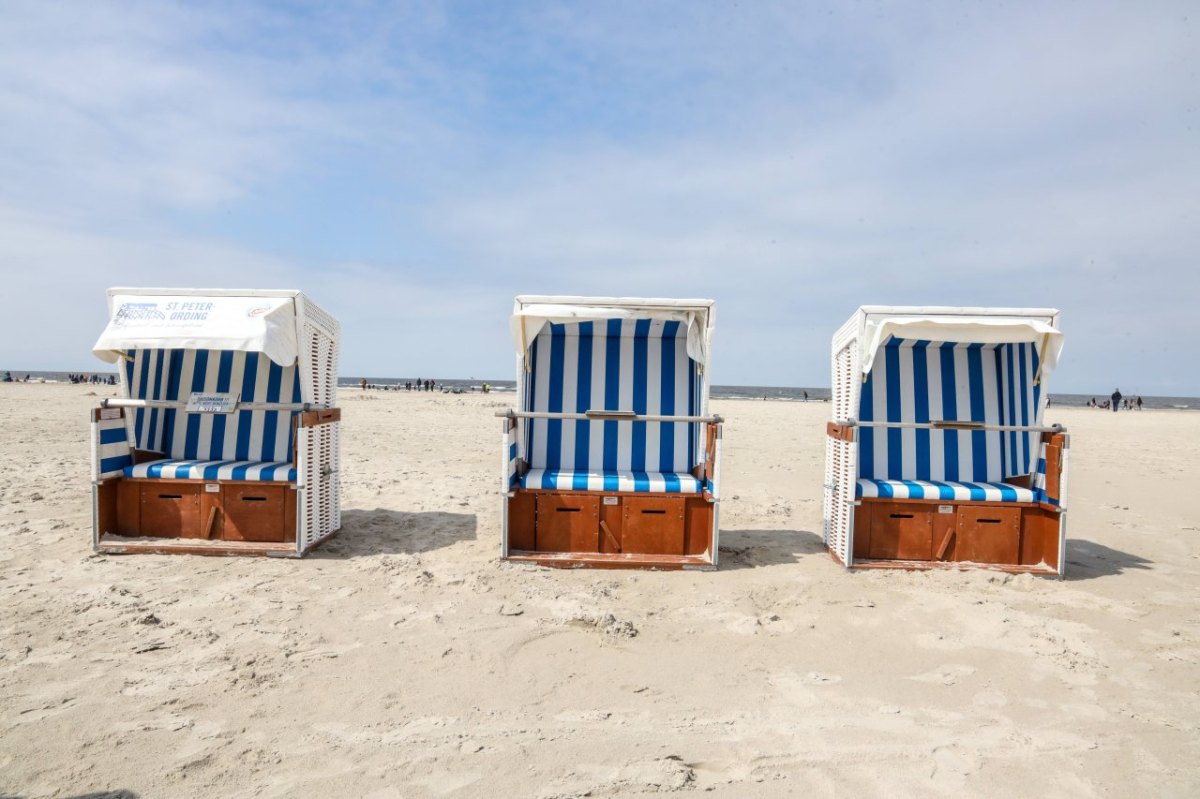 Urlaub an der Nordsee: Mit Hund ins Wasser? Besser aufpassen!