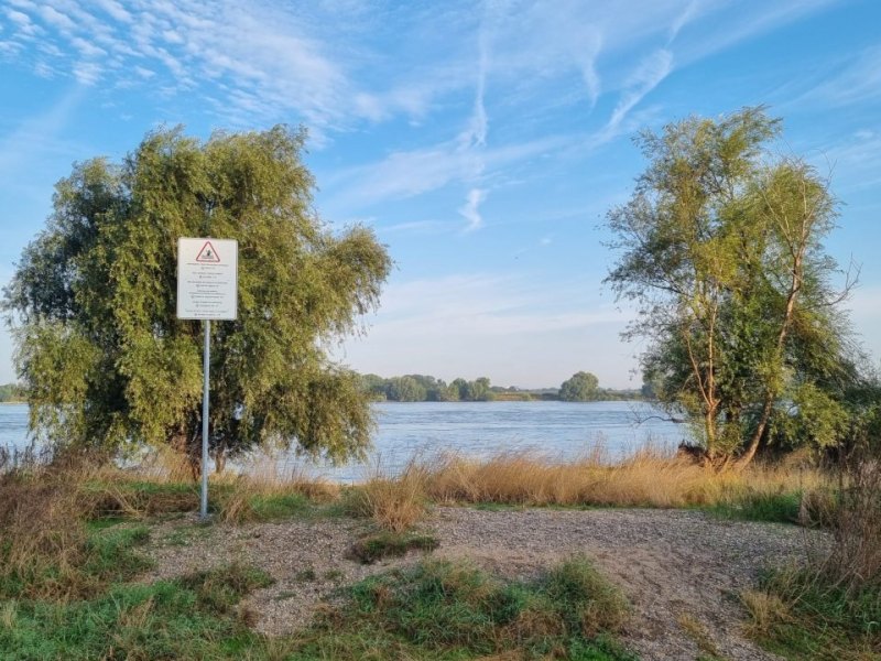 Warnschild am Rhein.jpg
