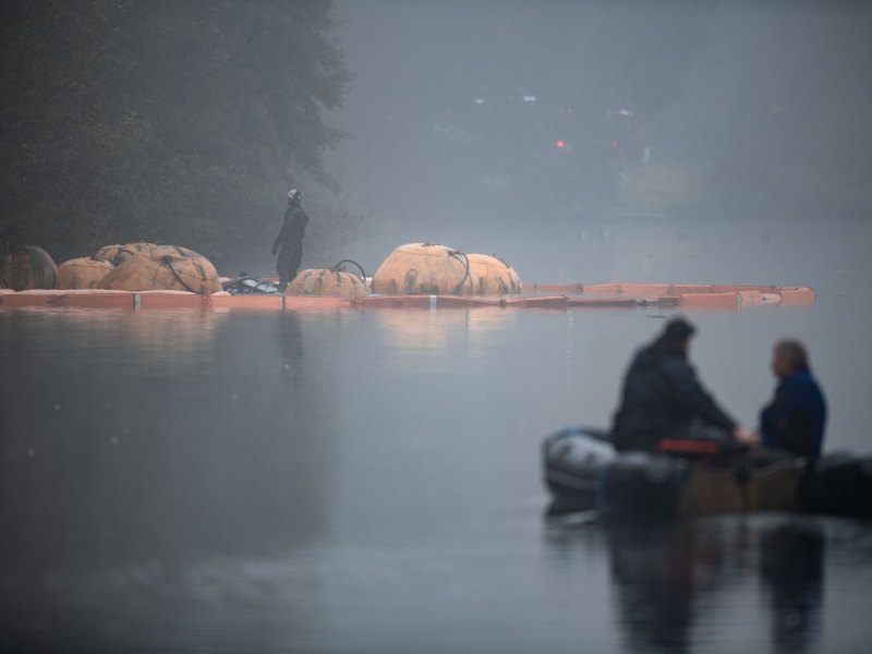 bergung moornixe2.jpg