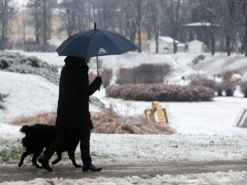 frau mit hund überfallen duisburg.jpg