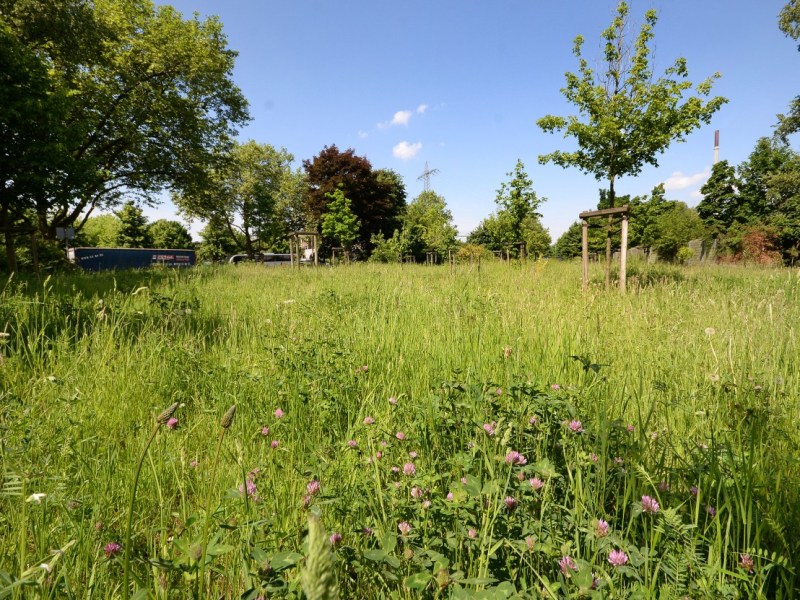 Auf diesem Gelände an der Wörthstraße könnten die Bauwagen einen neuen Platz finden., Dieser Bauwagen ist ein Gemeinschaftsraum. Links daneben eine überdachte Bühne. Hier spielen oft Bands.
