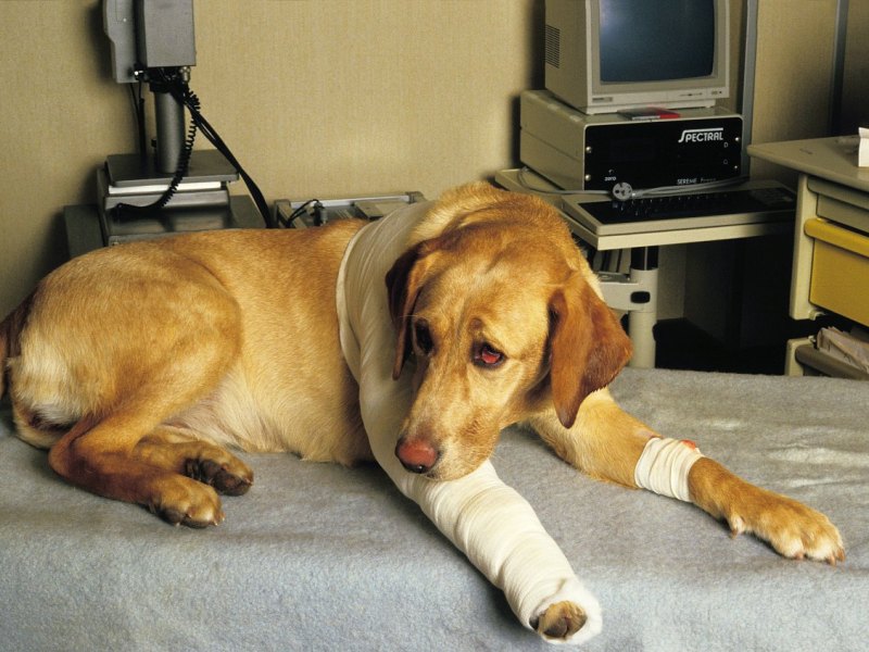 imago73661453h (1).jpg