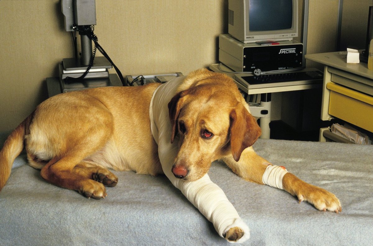 imago73661453h (1).jpg