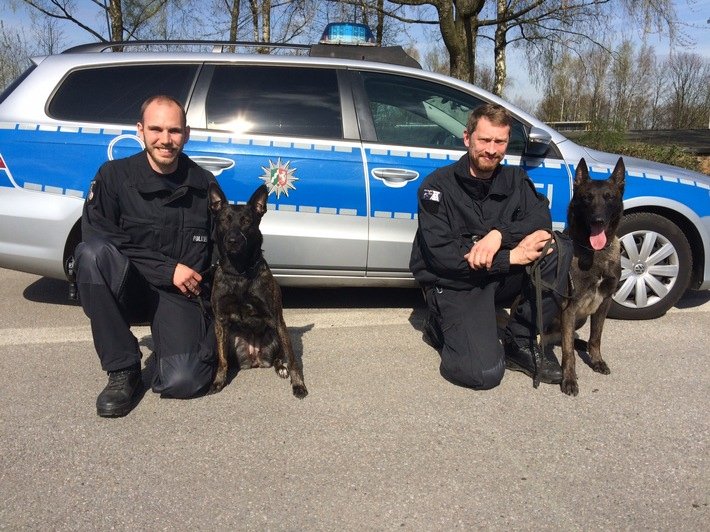 pol-e-essen-zwei-neue-personenspuerhunde-im-dienst-spuernasen-helfen-bei-der-rekonstruktion-von-fluc.jpg