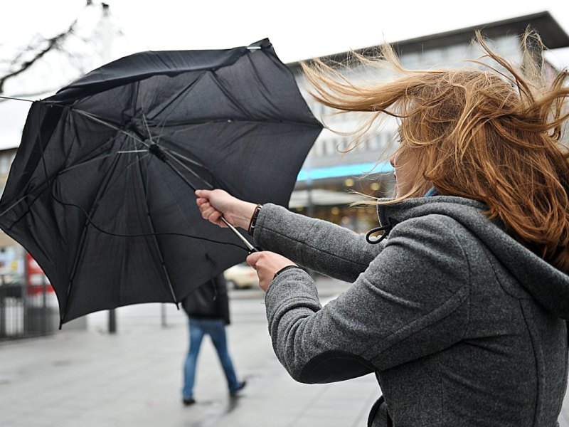 wind regenschirm essen.jpg