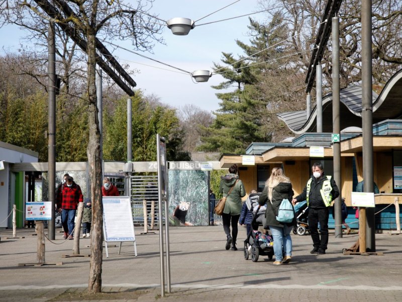 zoo duisburg besucher.jpg