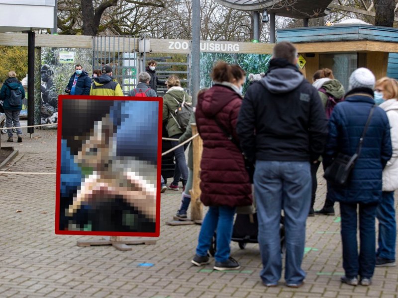 zoo duisburg collage.jpg