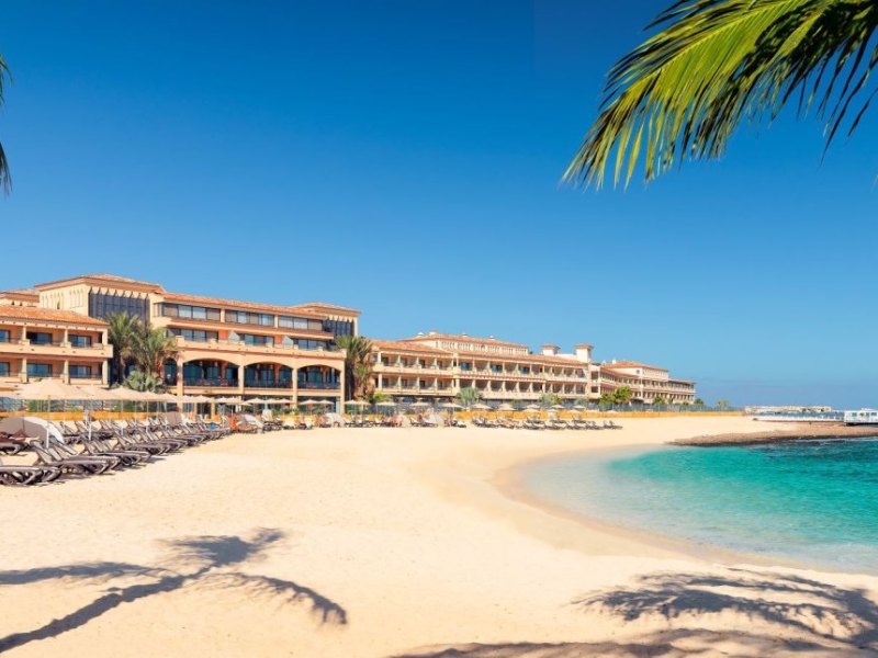 BEACH VIEW PALM TREES.jpg