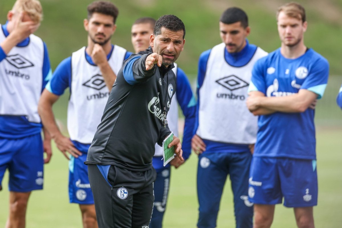 FC Schalke 04 Grammozis