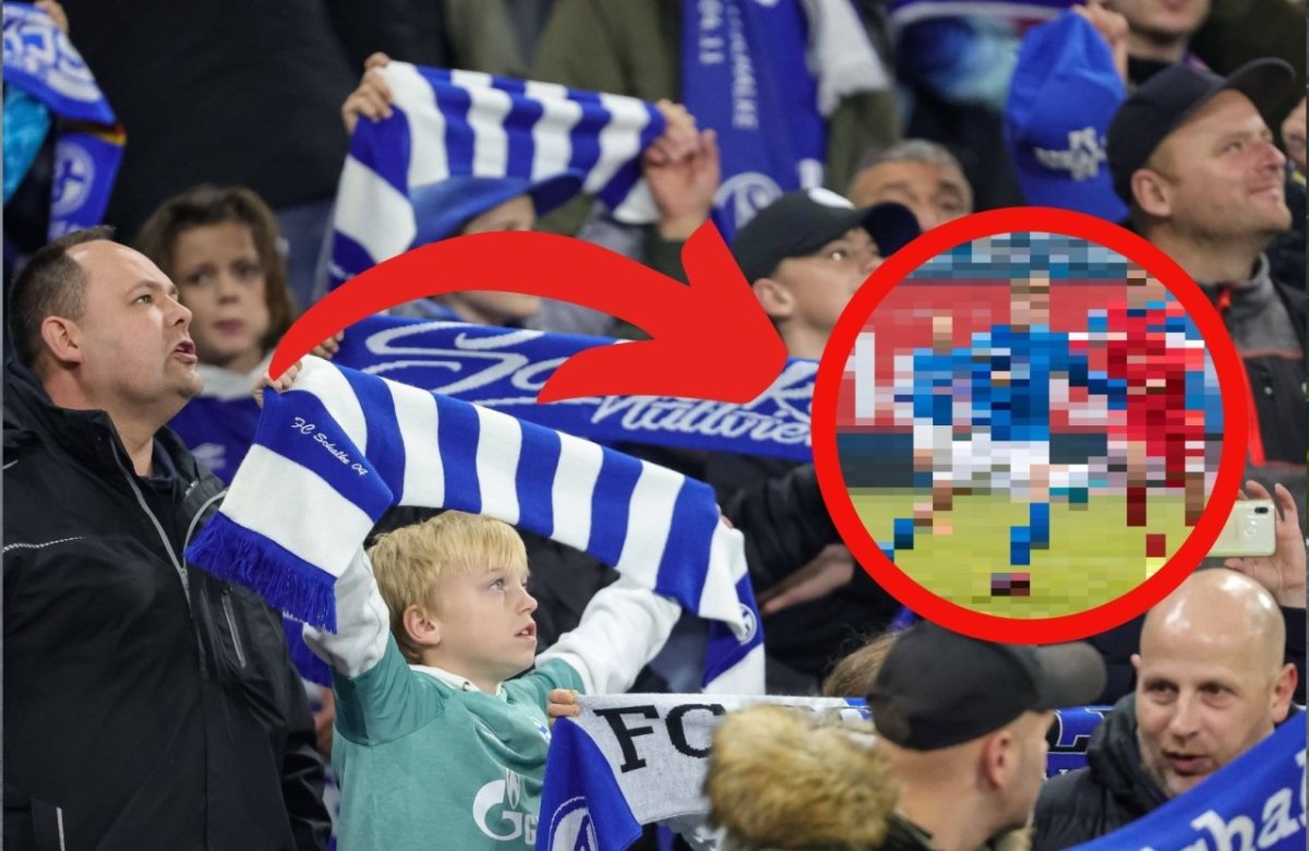 FC Schalke Becker.jpg