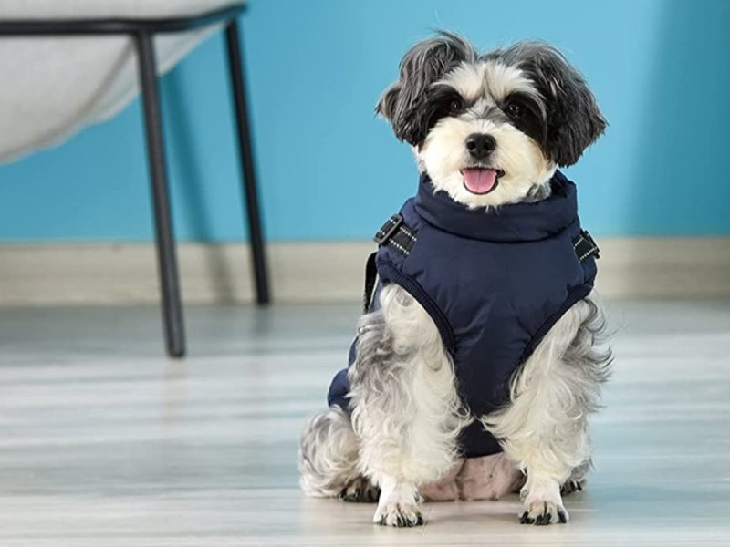 Hundemantel und Hundejacke