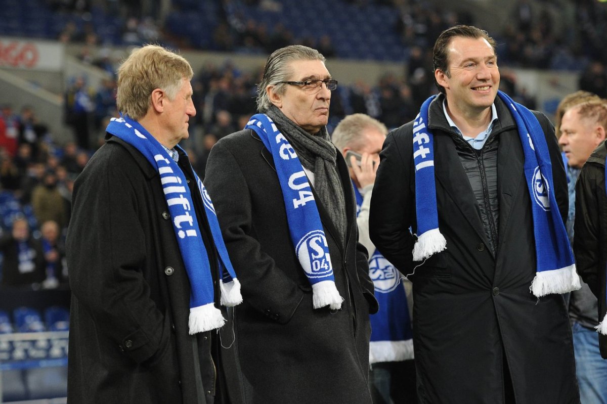 Marc Wilmots FC Schalke 04.jpg