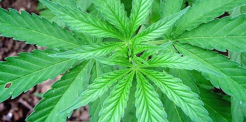 WP-Fotoredaktion Hagen_0--656x240.jpg