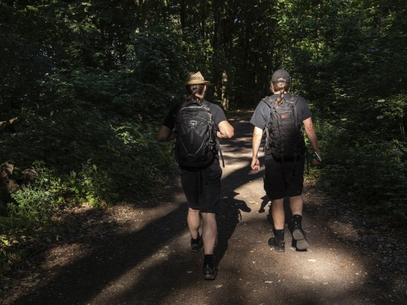 Zwei Männer wandern durch einen Wald in Grünau.