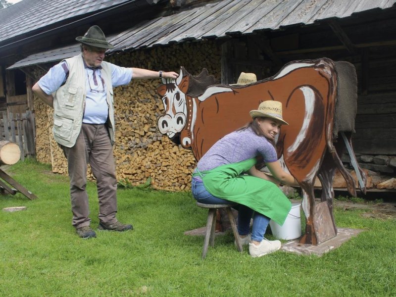 almdiplom gummiliesel