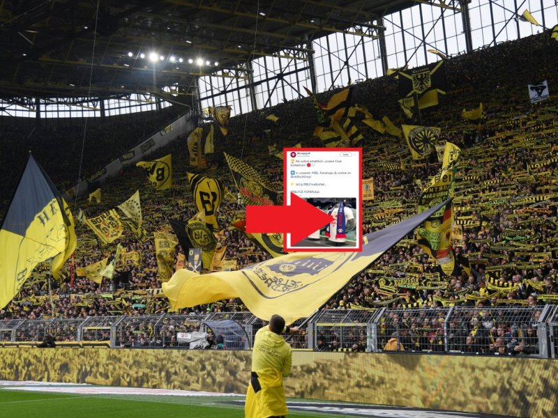 bvb-dortmund-borussia-234