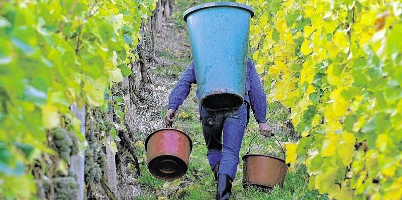 dapd nachrichtenagentur (Abo)-70145093-HighRes--656x240.jpg