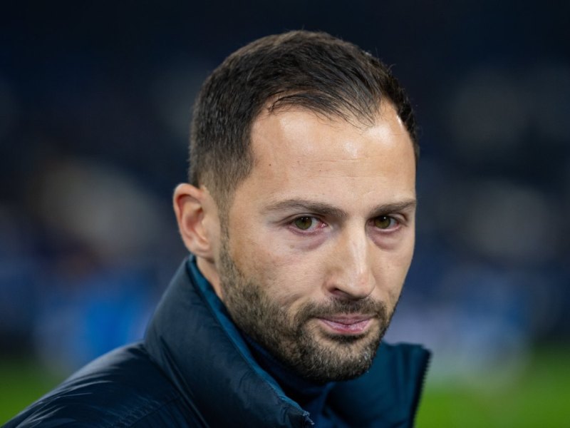 schalke-04-domenico-tedesco.jpg
