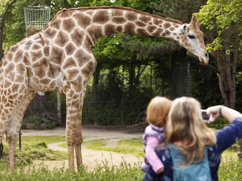 zoo dortmund.jpg