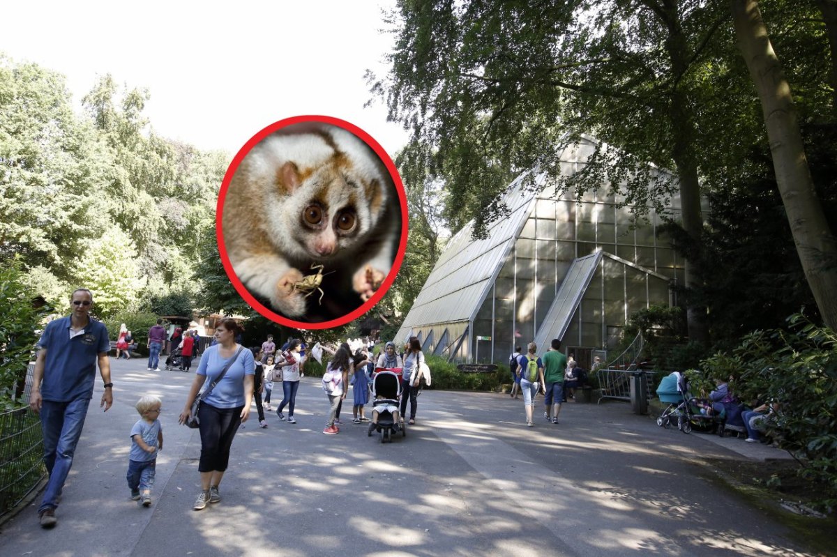 zoo-dortmund-nrw-tiere