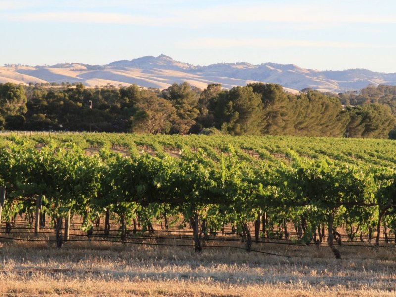 Barossa Valley