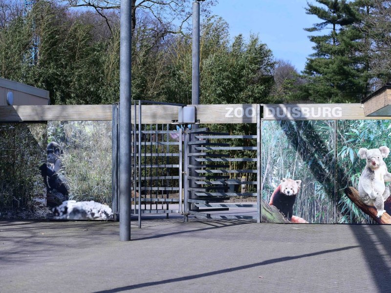 Zoo Duisburg.jpg