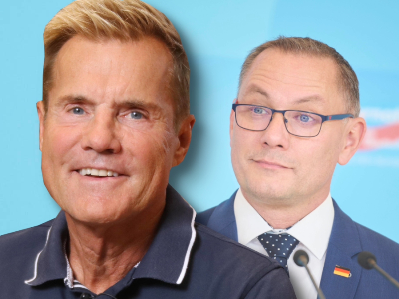 AfD und Dieter Bohlen